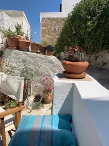 un patio con un montón de macetas en la pared en Vera's traditional house - Chora, en Serifos Chora