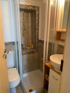 a bathroom with a shower and a toilet and a sink at Vera's traditional house - Chora in Serifos Chora