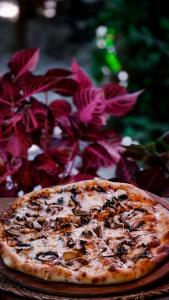 a pizza sitting on a table next to a plant at Sheriff, Olympos in Kumluca