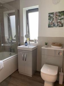 a bathroom with a toilet and a sink and a tub at Eco Lodge "Deben" with Private Hot Tub in East Bergholt