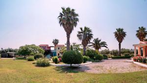 park z palmami i domami w obiekcie Heliatoras Studios w mieście Loutrópolis Thermís