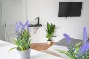 TV a/nebo společenská místnost v ubytování Ereta Rooms Habitaciones baño privado