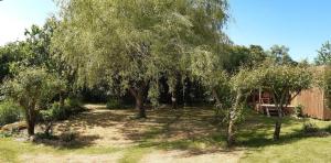 ein Hof mit ein paar Bäumen und einer Bank in der Unterkunft Studio en bois à 20mn du Puy du Fou avec grand jardin in Saint-Mesmin