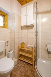 a bathroom with a toilet and a tub and a sink at Świt w Gorcach - dom wakacyjny in Ochotnica Dolna