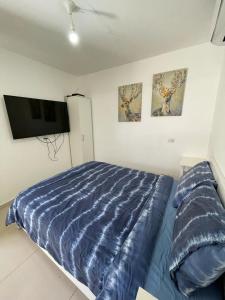 a bedroom with a blue bed and a flat screen tv at פרטיות וחוויה אצל יעקב וירדנה Privacy and an experience at Jacob and Yardena in Afula