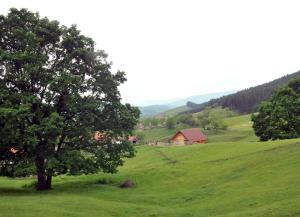 Paesaggio naturale nelle vicinanze dello chalet