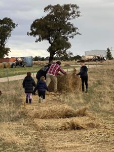 a group of people standing around a pile of hay at River Gardens Axedale Farmstay B&B in Axedale
