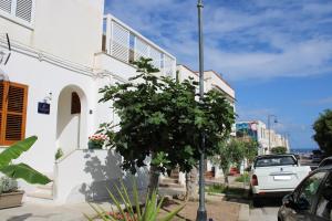 Okolí bed and breakfast
