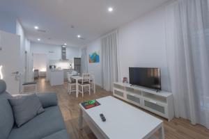 TV a/nebo společenská místnost v ubytování Apartamentos Santa María 15