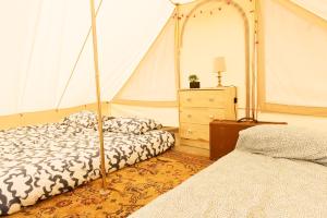 Aparra Surfcamp Auberge Saint-Jean-de-Luz客房内的一张或多张床位
