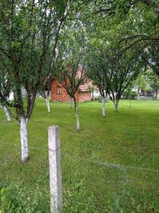 En have udenfor Vila Zlaja + 4 billeder