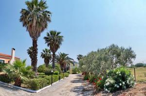 a driveway with palm trees and flowers in a yard at Heliatoras Studios in Loutrópolis Thermís