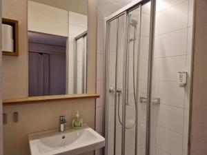 a bathroom with a shower and a sink at Easy-Living Buholz Hoch 12 in Luzern