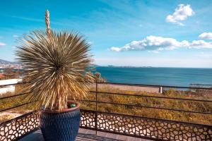 una maceta sentada en un balcón con vistas al océano en LES SUITES LOVE 2 SPA VUE MER PISCINe, en Marsella