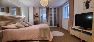 a bedroom with a large bed and a flat screen tv at EMA Cottage in Montjean