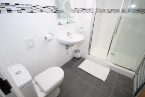 a bathroom with a toilet and a shower and a sink at Marine Apartment in Aberystwyth +20 photos