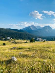 un champ d'herbe avec des montagnes en arrière-plan dans l'établissement Apartman BUKOVAC, à Žabljak 15 autres photos