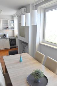 Kuchyňa alebo kuchynka v ubytovaní Panorama View Apartment