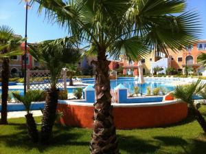 un gruppo di palme di fronte a una piscina di Appartamento con terrazza Borgo San Basilio a Marina di Pisticci