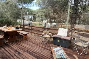 une terrasse en bois avec deux chevaux blancs debout derrière une clôture dans l'établissement Logement Lodge au cœur de la Manade, à Aigues-Mortes
