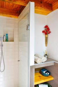 una doccia con porta in vetro in bagno di NIMA Navacerrada a Navacerrada