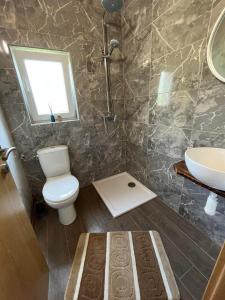 a bathroom with a toilet and a sink at Rooms Ljubenko in Karlovac