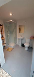 a bathroom with a shower and a toilet and a sink at Logement Lodge au cœur de la Manade in Aigues-Mortes