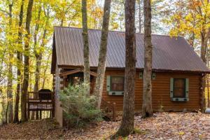 una cabaña de madera en el bosque con árboles en Mountain Time Cabin, Hot tub, Fire Pit, Fireplace, en Blue Ridge