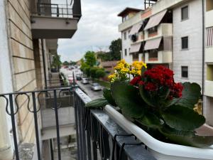 una maceta de flores en un balcón con flores en MargaretHome, en Gravina in Puglia