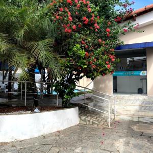 un arbre avec des fleurs rouges devant un bâtiment dans l'établissement Pousada Ponta Negra, à Natal