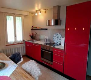 A kitchen or kitchenette at Apartment with great view at Residence Brunner