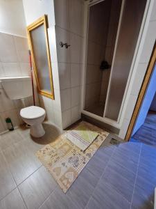 uma casa de banho com um chuveiro, um WC e um tapete em Seafront apartment Marina2 em Jelsa