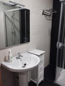 La salle de bains est pourvue d'un lavabo, d'un miroir et d'une douche. dans l'établissement Canadina 1, à Morgovejo