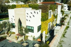 una vista aérea de una casa con aves volando sobre ella en Kocadon Museum Hotel, en Bodrum City