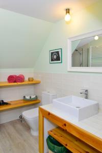 uma casa de banho com um lavatório branco e um WC. em NIMA Navacerrada em Navacerrada