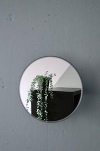 ein Spiegel an einer Wand mit einer Pflanze darin in der Unterkunft Dzīvoklis ar skatu pār Alūksni in Alūksne