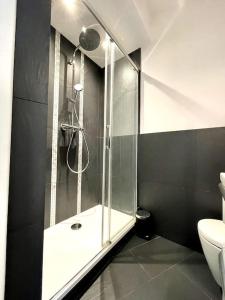La salle de bains est pourvue d'une douche et de toilettes. dans l'établissement Ravissant appartement à 5min du centre ville d'Aix, à Aix-en-Provence
