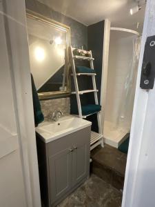 a bathroom with a sink and a mirror and a shower at The Old Chapel Annexe in Helston