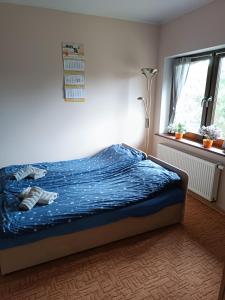 a bedroom with a bed with blue sheets and a window at Zaścianek Kaszub in Strzebielino