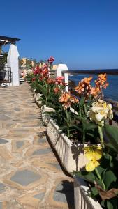 a row of flowers on a walkway near the water at Newly Renovated 2 Bedroom Beachfront House in Sitio de Calahonda