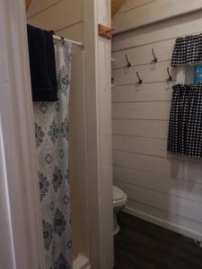 uma casa de banho com um WC e uma cortina de chuveiro em Sebago Lake Cottage on Raymond Cape em Raymond