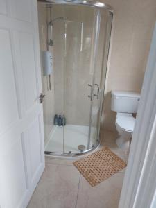 a bathroom with a shower and a toilet at Grá na Farraige in Enniscrone