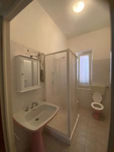 ein Bad mit einem Waschbecken, einer Dusche und einem WC in der Unterkunft Hotel Sole in Marina di Massa
