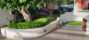 Foto sihtkohas Praia a Mare asuva majutusasutuse Go Island galeriist