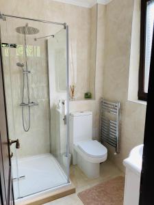 a bathroom with a toilet and a glass shower at Vila Tarnita in Cluj-Napoca +30 photos