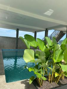 Piscina di LamanLeman Langkawi o nelle vicinanze
