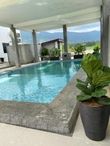 una grande piscina con una pianta in vaso di LamanLeman Langkawi a Pantai Cenang