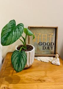 a potted plant sitting on a table next to a sign at Good Days in Yuli