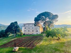 an old building on a field with a tree at Tenute Pacelli - Azienda Agricola in Malvito