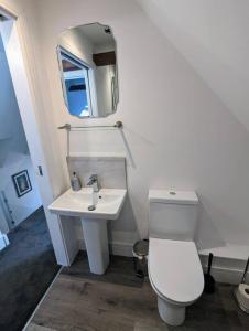 a white bathroom with a toilet and a sink at The Livery Cottage at Cefn Tilla Court, Usk in Usk